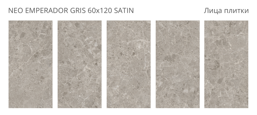 Staro Luna Rossa Neo Emperador Gris Satin 60x120