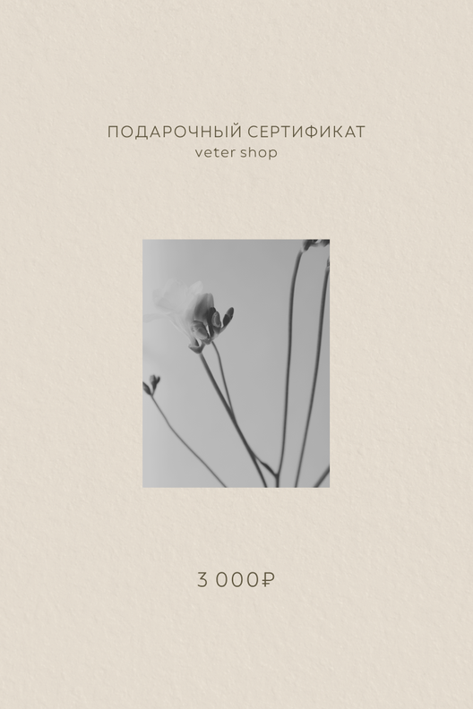 Подарочный сертификат на 3,000 рублей / Veter Shop
