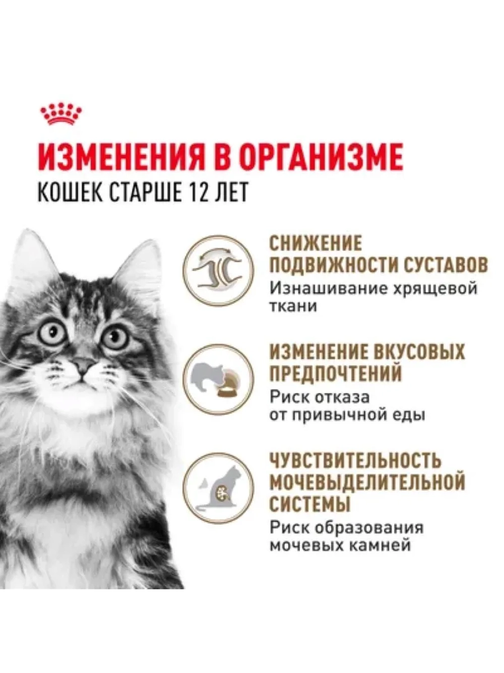 AGEING 12+ Корм для кошек в желе 85г*28шт