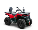Квадрицикл Bizon YK250 LUX EFI ПТС