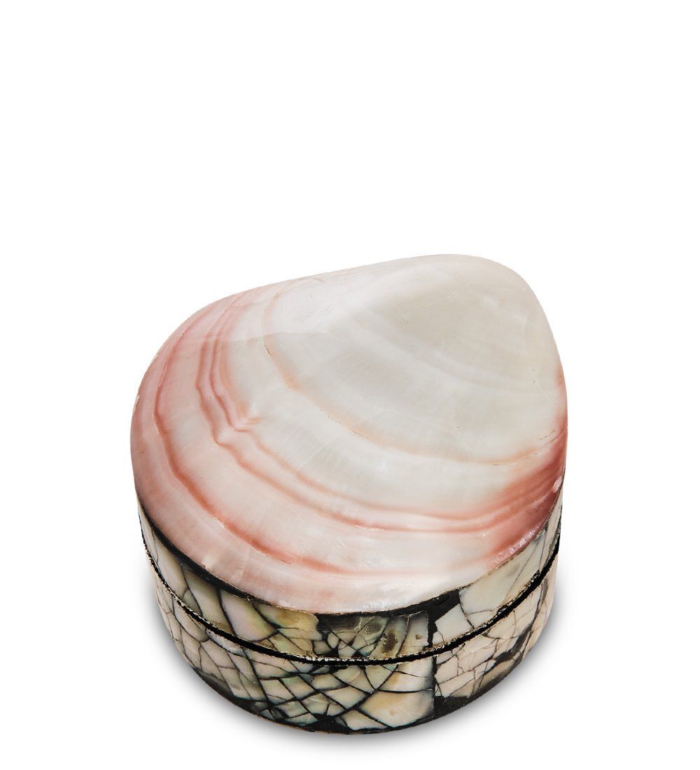 Decor and Gift 54-039-01 Декоративная шкатулка «Ракушка»