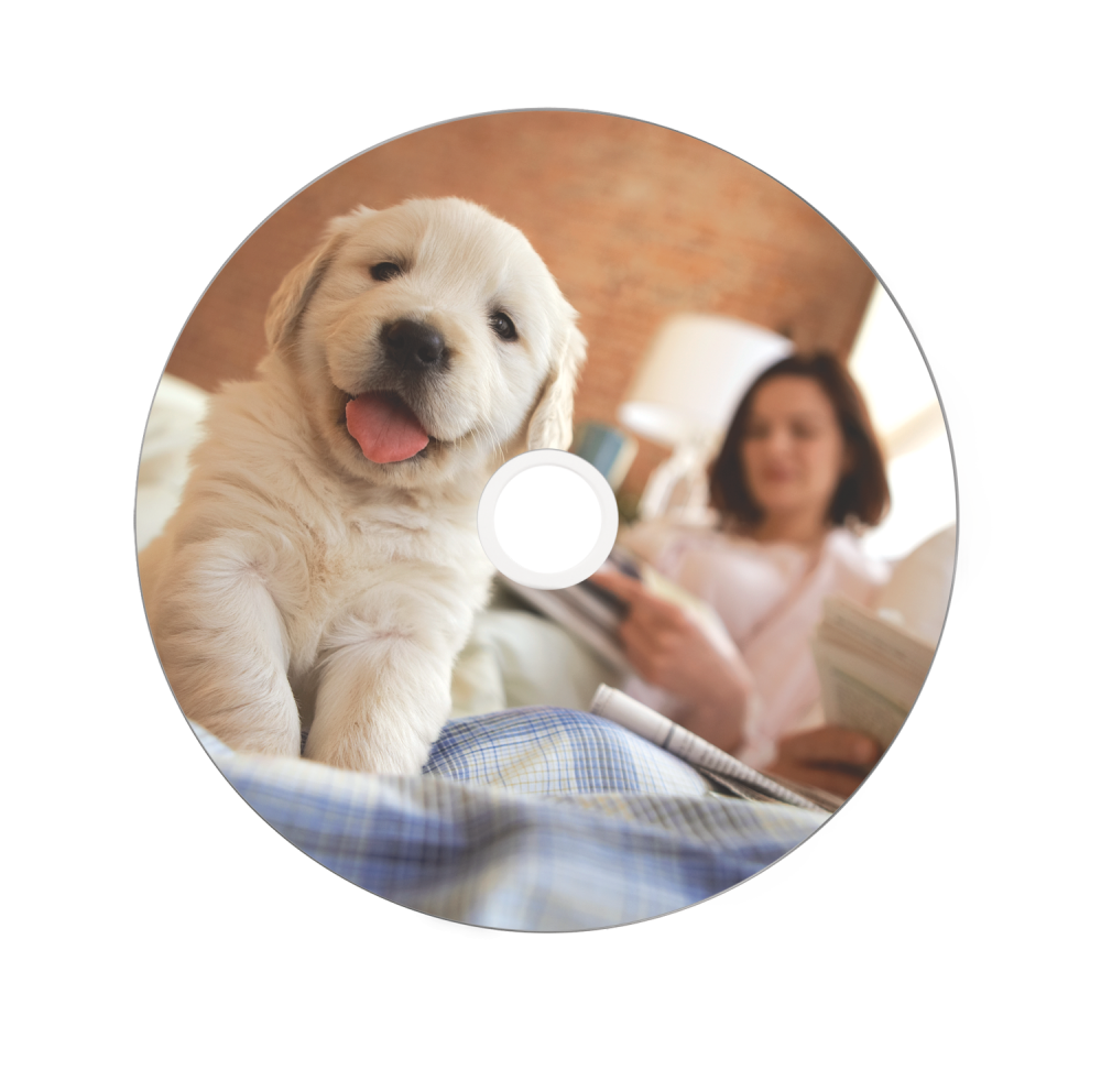 Оптический диск Verbatim DVD+R DL 8x 8,5GB DataLife Plus AZO Wide Thermal Printable no ID, Cake Box
