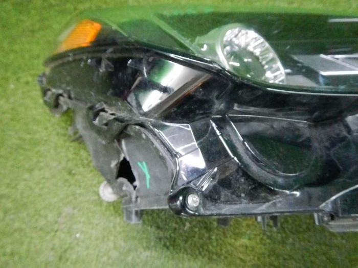 DSCN9246.jpg
