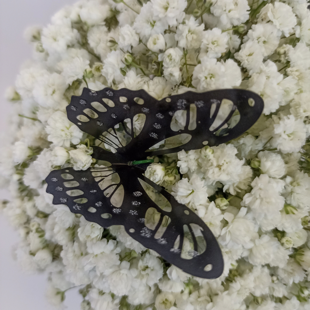 Стаканчик с гипсофилой "Black and White"