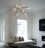 Ceiling design lamp  AGNES by Roll & Hill (6 lampshades,  Black)