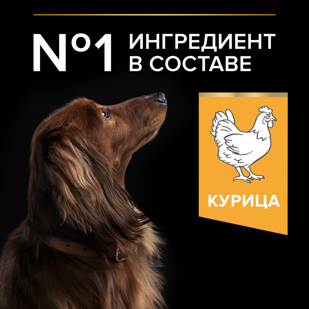 Сухой корм PRO PLAN EVERYDAY NUTRITION для взрослых собак мелких и карликовых пород курица 7 кг