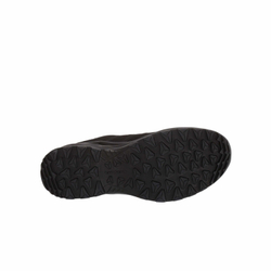Кроссовки Lowa Innox Pro GTX Lo TF Nero