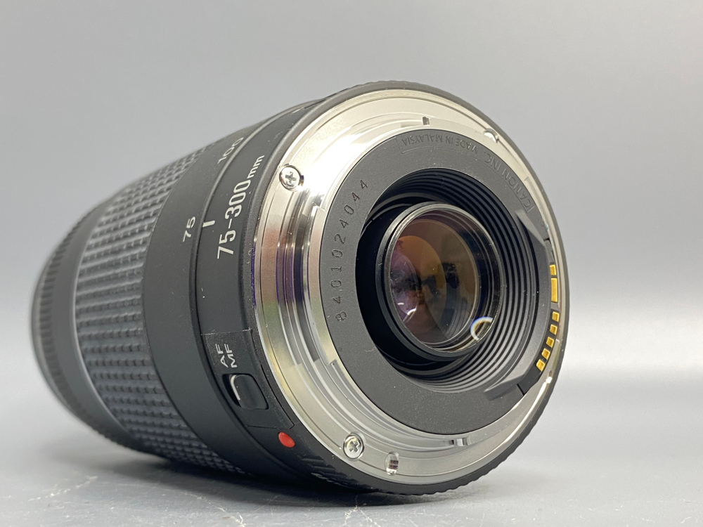 Canon EF 75-300mm 4-5.6 III