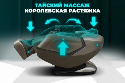 Массажное кресло FUJIMO МАСТЕР Ци Коричневый