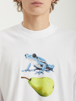 Мужская Футболка Frog Pear