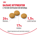 Royal Canin Medium Dermacomfort Медиум Дермакомфорт Корм сухой для взрослых собак средних размеров 3кг