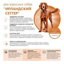 Корм сухой для взрослых собак породы Ирландский сеттер, премиум полнорационный комплекс, с индейкой, 12 кг, QUATTRO