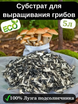 Субстрат для выращивания грибов (лузга подсолнечника) 5л