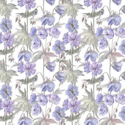 Лесная герань (Wild Geranium)