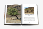 Книга Assouline AlUla Flora в твердом переплете