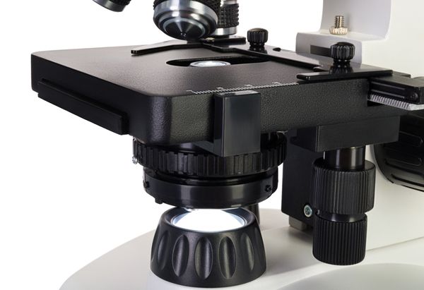 Микроскоп Levenhuk Discovery Atto Polar с книгой