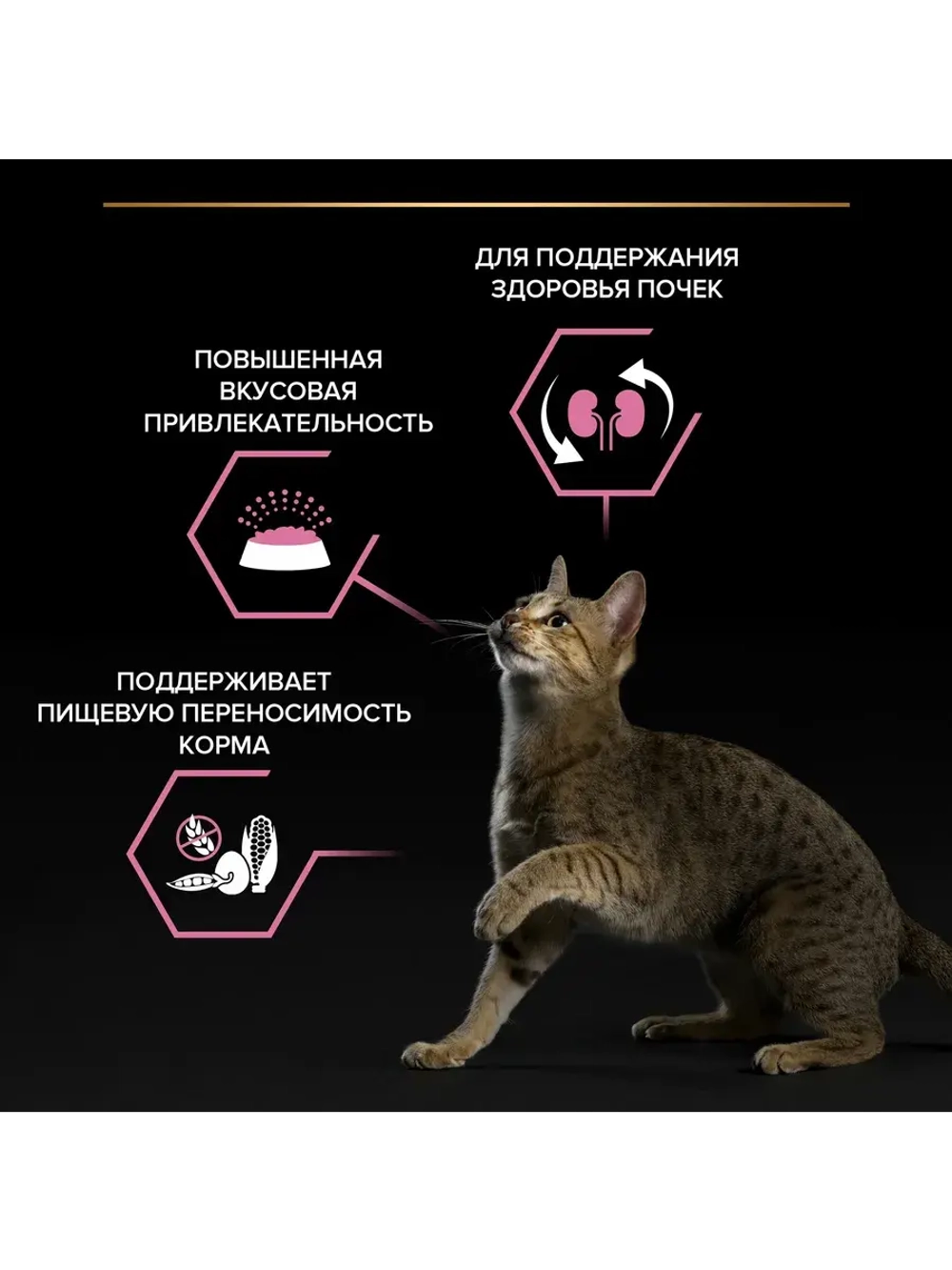 PRO PLAN (Про план) для кошек с чувствительным пищеварением с ягненком 10 кг