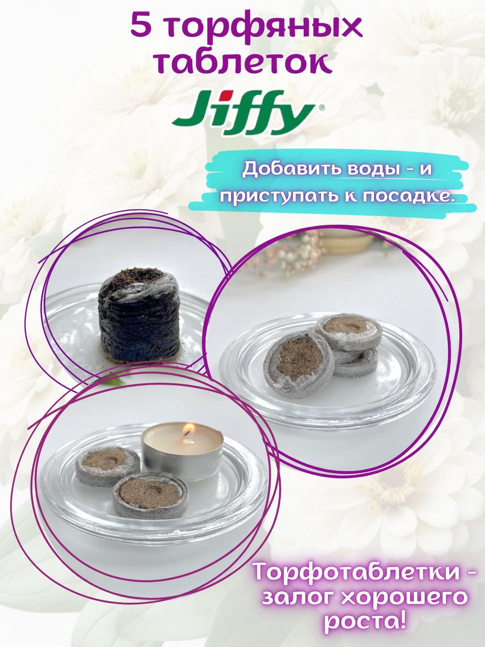 Семена Цинния низкорослая, кустовая, розовая Джульетта, семена Циния + торфяные таблетки Jiffy в подарок, 5 шт
