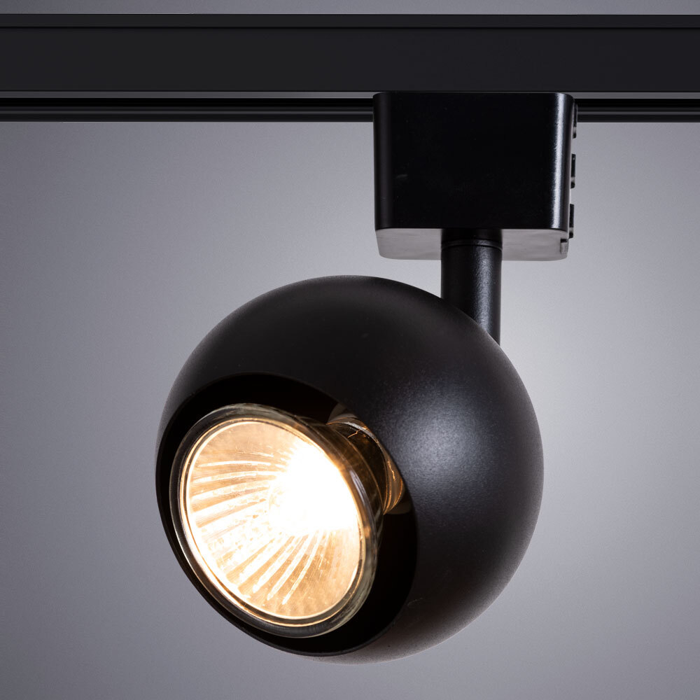 Светильник потолочный Arte Lamp Brad A6253PL-1BK