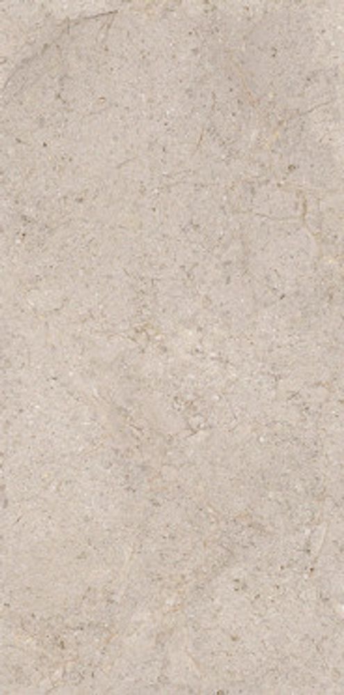 Керамогранит Dorcia Acero L (100355118)