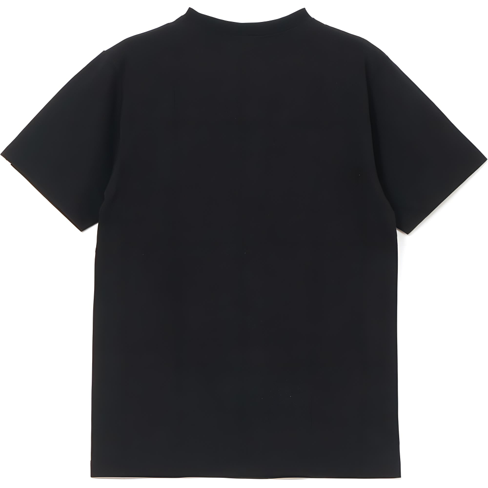 A Bathing Ape Gradation General Tee черный