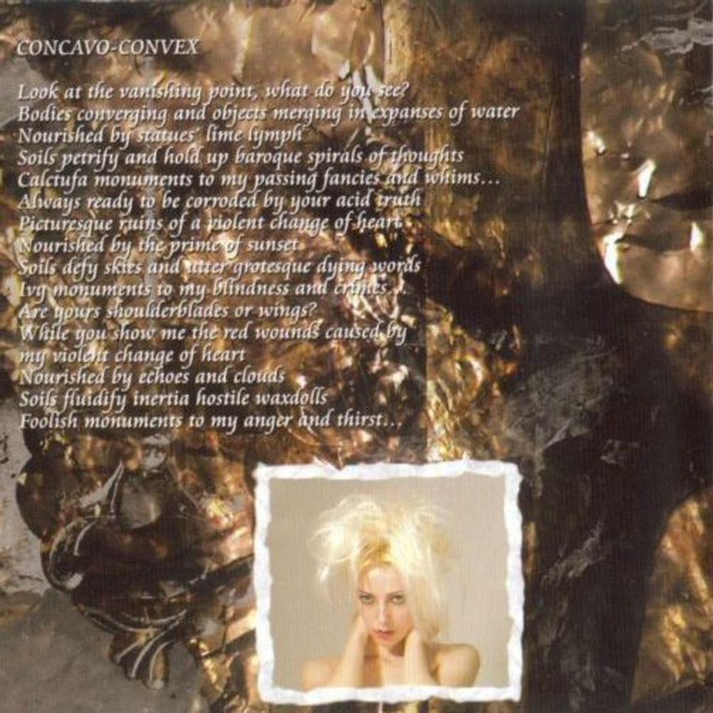 The Frozen Autumn / Is Anybody There? (RU)(CD)