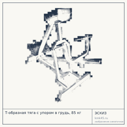 Т-образная тяга с упором в грудь, 85 кг — от 65 000 ₽