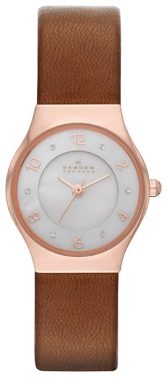 Наручные часы Skagen SKW2210