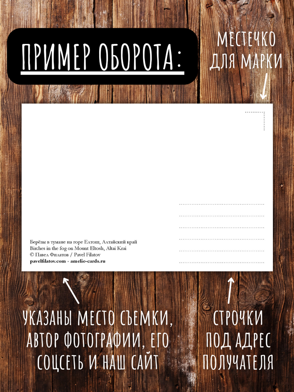 Моя Россия. Весна (выпуск №1, 2022)