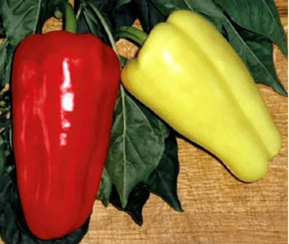 Перец сладкий Джипси F1 (Seminis | Alexagro) 5шт.