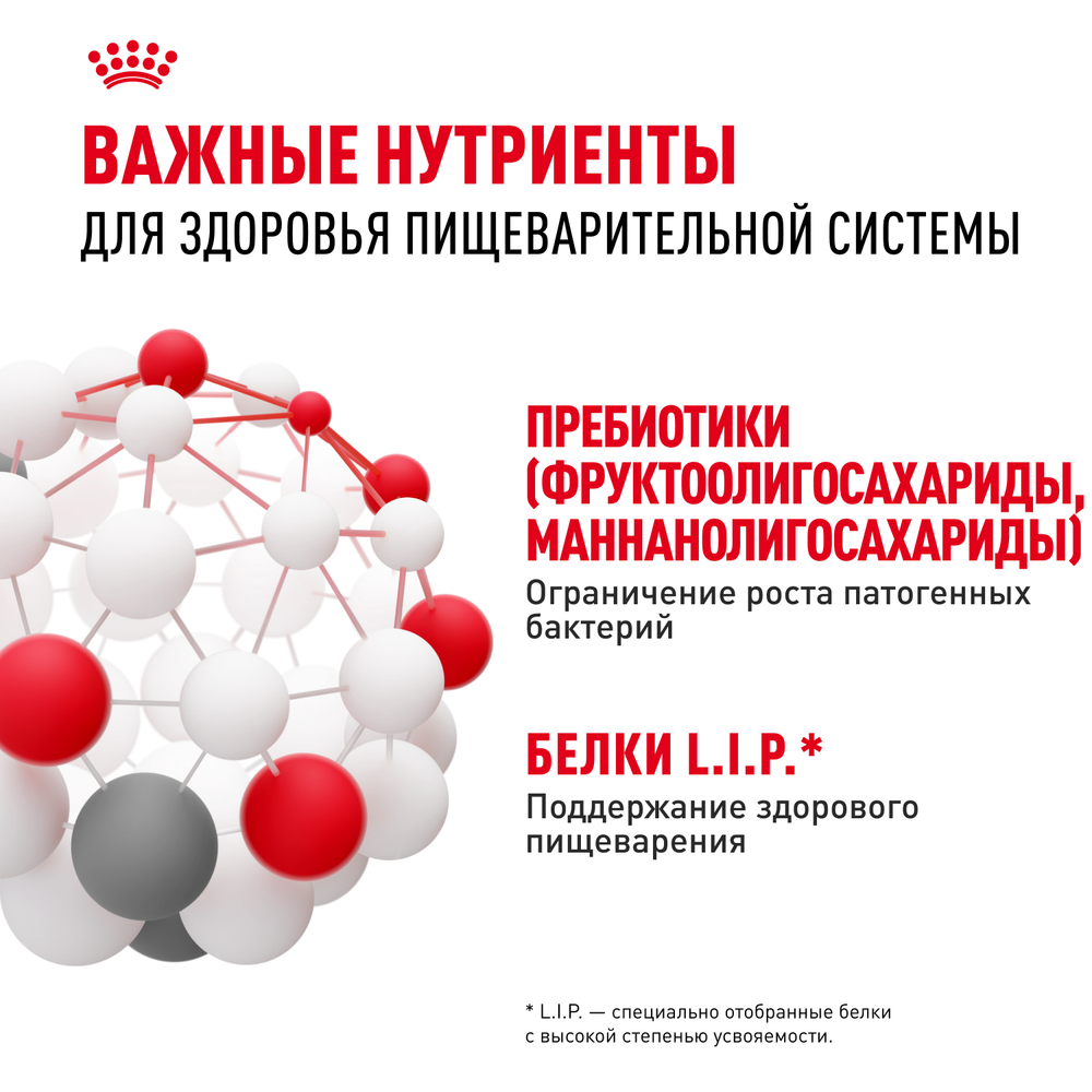 Royal Canin Medium Digestive Care Медиум Дайджестив кэа Корм сухой для взрослых собак средних размеров с чувствительным пищеварением 12кг