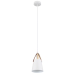 Подвесной светильник Arte Lamp THOMAS A7032SP-1WH, 1хE27