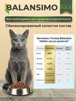 Сухой корм холистик для стерилизованных кошек и кастрированных котов Balansimo Holistic Sterilized Adult Cat индейка с ягодами 2 кг