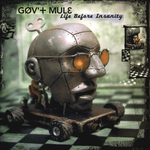 Gov't Mule / Life Before Insanity (2LP)