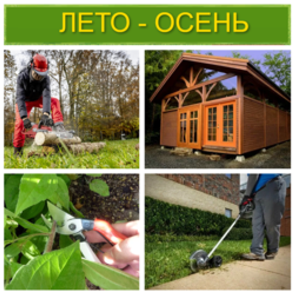 Сезон ЛЕТО - ОСЕНЬ 2026 В РАЗГАРЕ: подборка полезных инструментов!