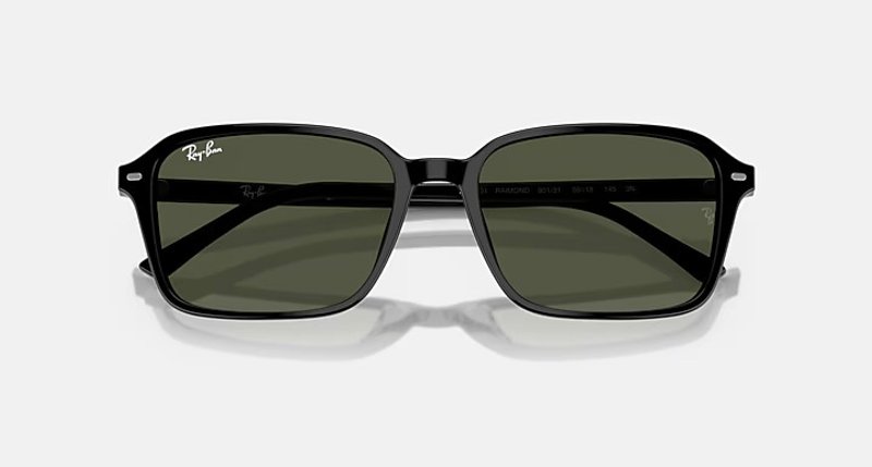 RAY-BAN RAIMOND RB2231 901/31