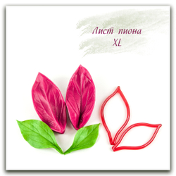 Лист пиона XL
