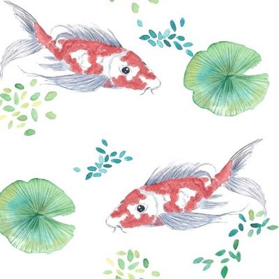 Koi fisf Карпы Кои
