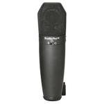 Peavey Studio Pro M2