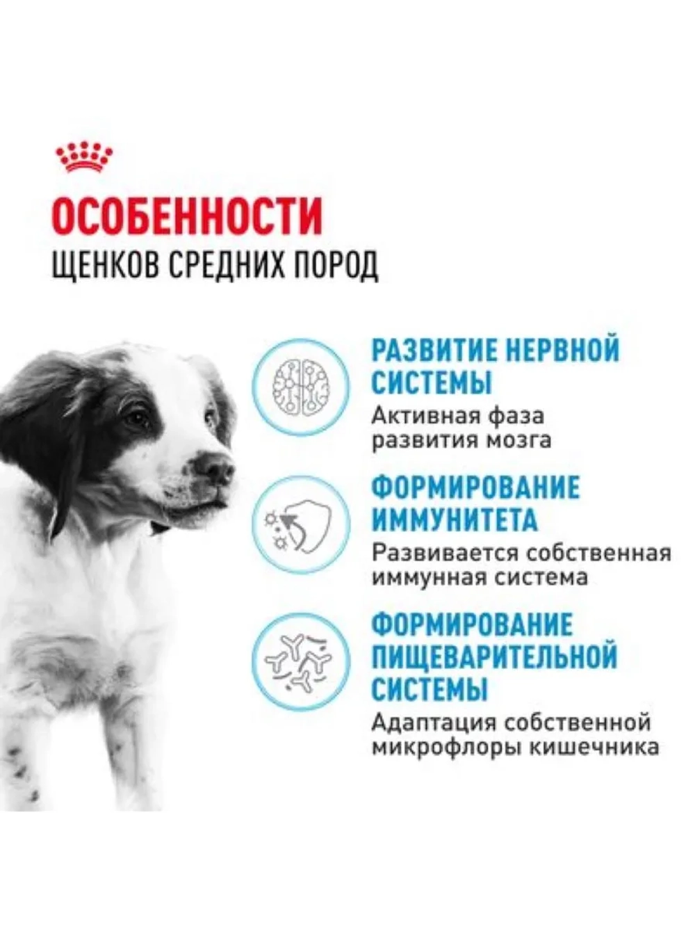 MEDIUM Puppy Корм для щенков средних пород 3кг