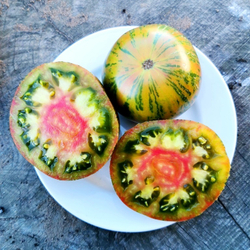 Помидоры Ананасная Зебра - Ananas Zebra Tomato