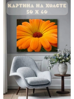 Картина на стену 40 X 50 Гербера цветок