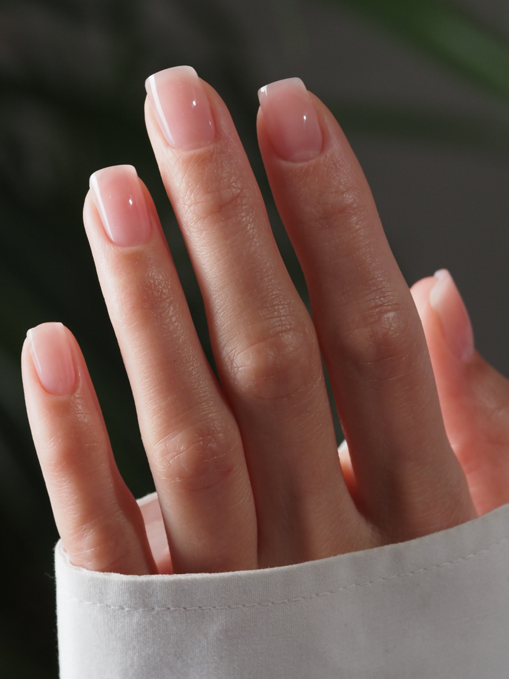 NR Gel classic 202.1