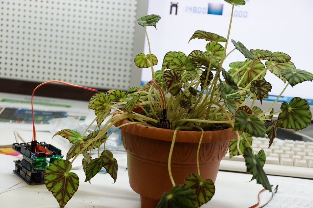 Базовый учебный комплект IoT Smart Agriculture Базовый учебный комплект IoT Smart Agriculture