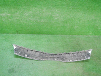 DSCN8017.JPG