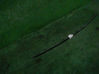 DSCN9748.JPG