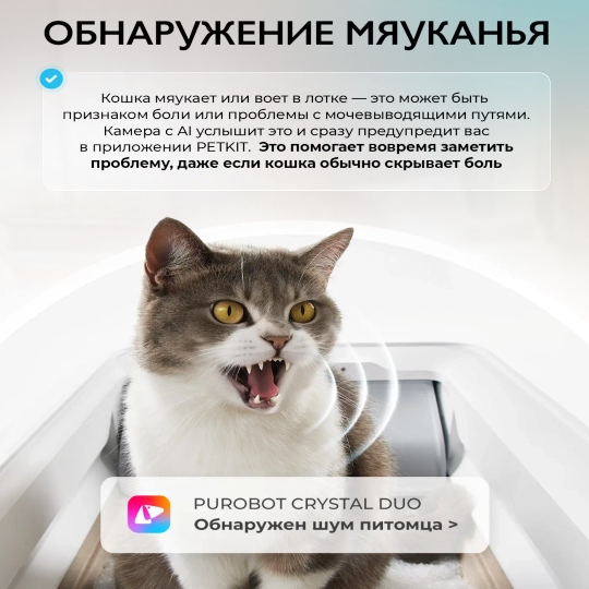 Открытый автоматический лоток с камерой Purobot Crystal Duo  PETKIT