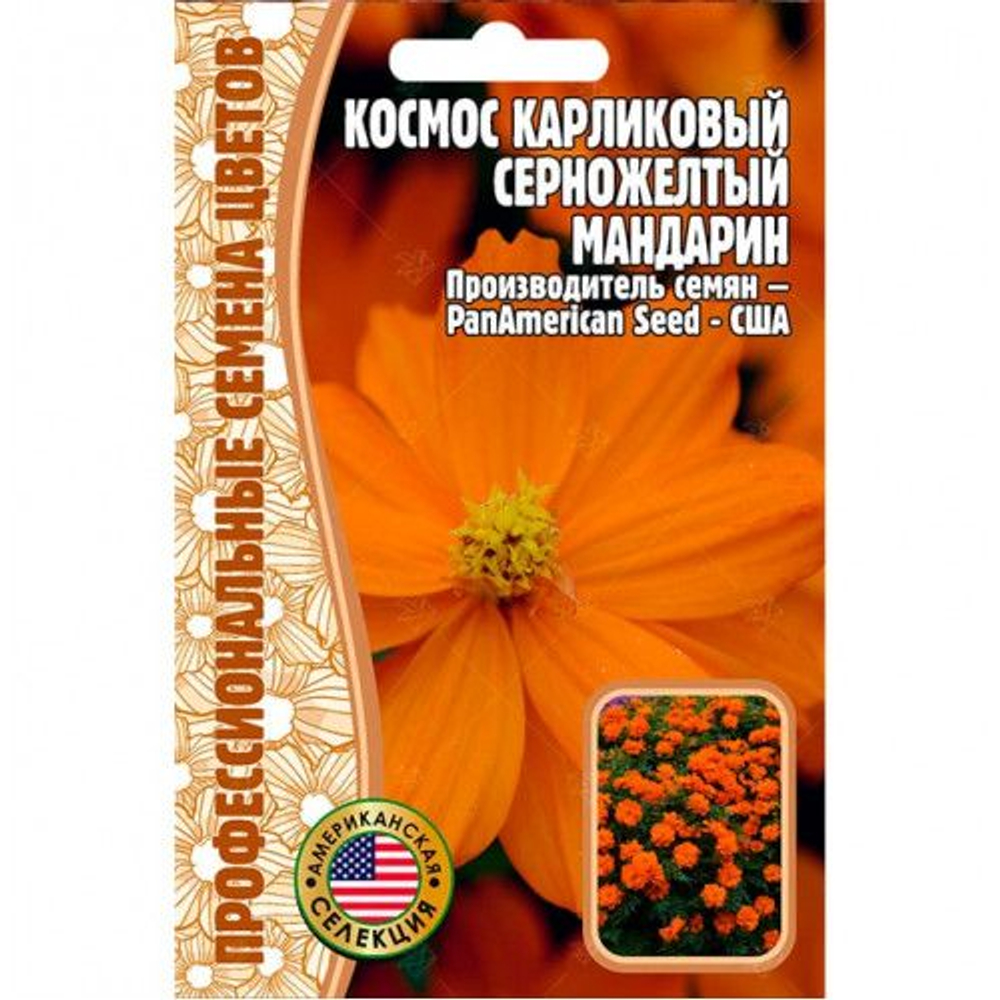 Космос Мандарин карликовый однолетник 5шт (Ред.сем)