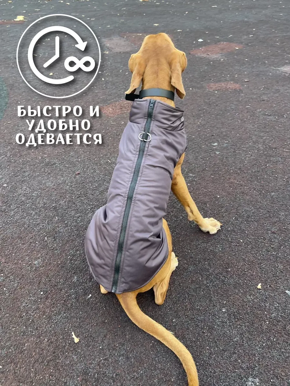 Жилет для собак мелких средних крупных пород