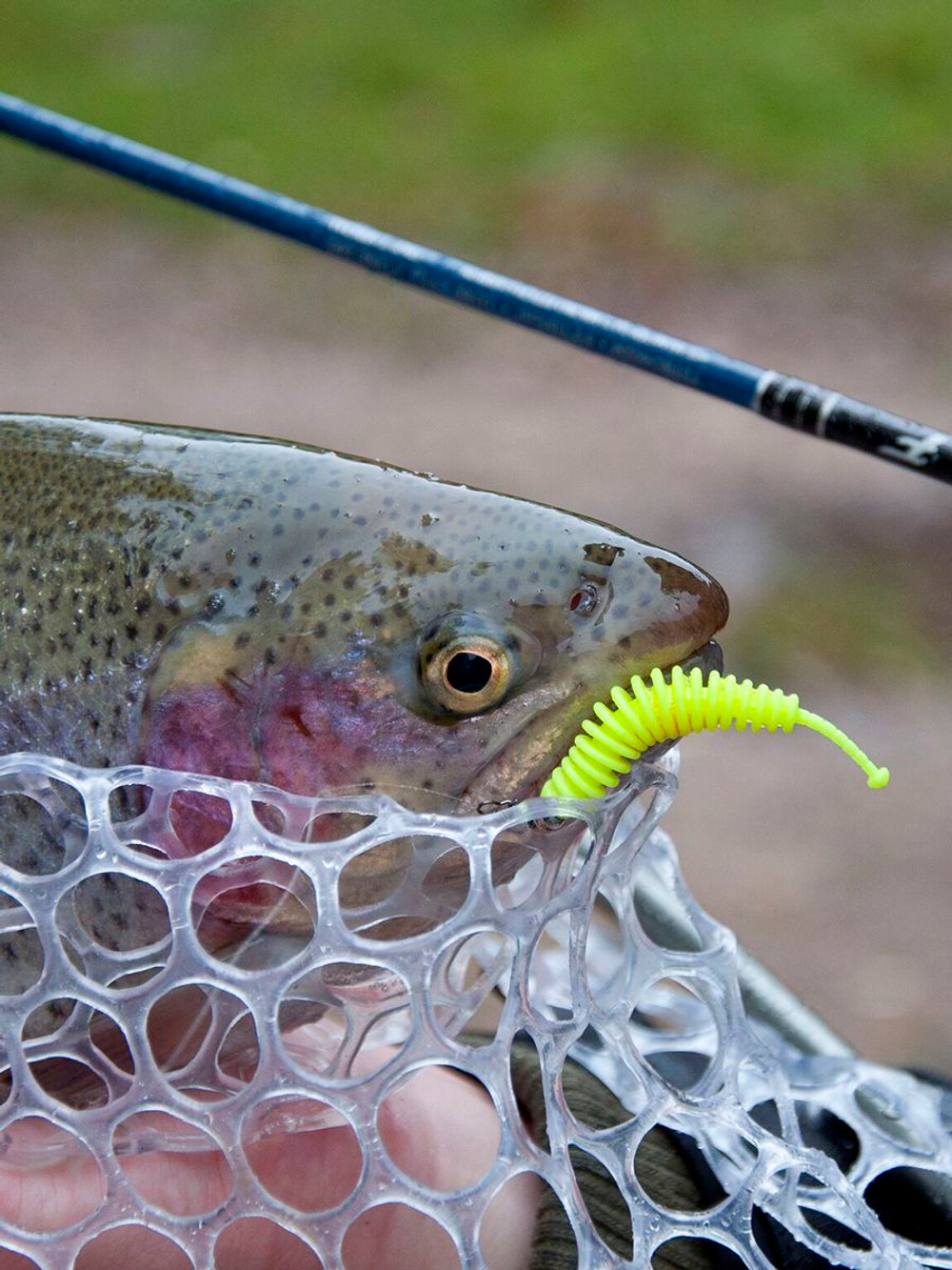 Слаги съедобные искусственные LUCKY JOHN Pro Series TRICK WORM 2,5in (6.35)/F05 7шт.